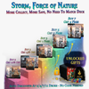 Storm, Force of Nature Commander Deck | 104+ Cards | MTGCard