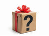 Mystery Gift